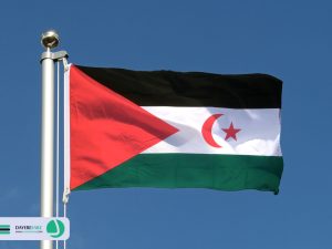 دایره سبز