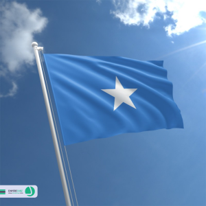 دایره سبز