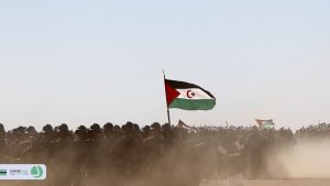 دایره سبز