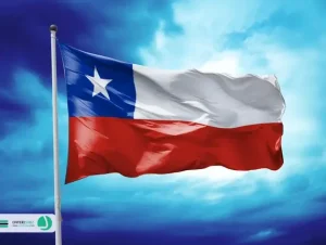 دایره سبز