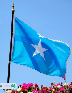 دایره سبز